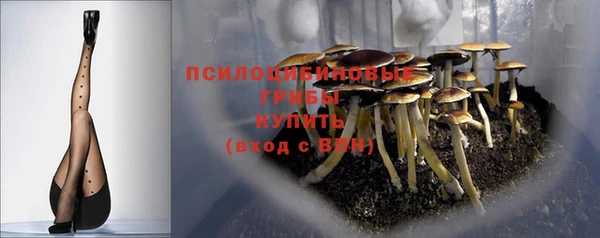 спиды Михайловка