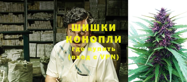 дживик Михайловск