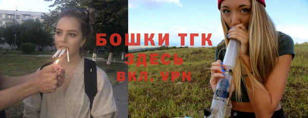 дживик Михайловск
