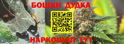 не бодяженный Гай