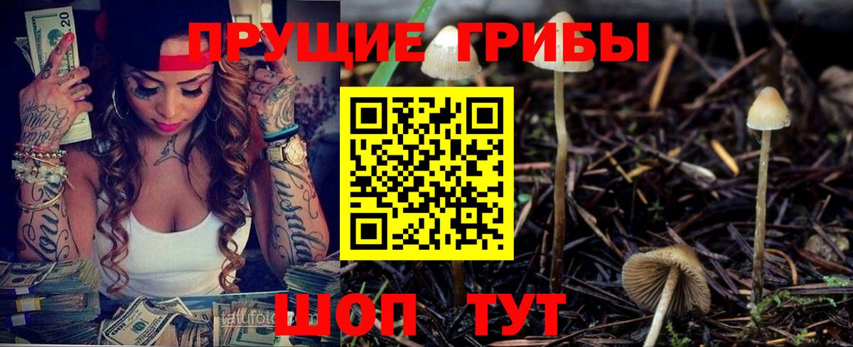 Всеволожск  Псилоцибиновые грибы мицелий  Вход с VPN 