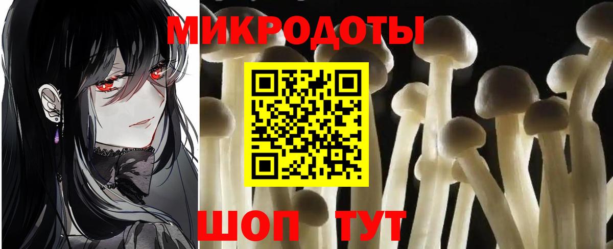 Псилоцибиновые грибы GOLDEN TEACHER Всеволожск